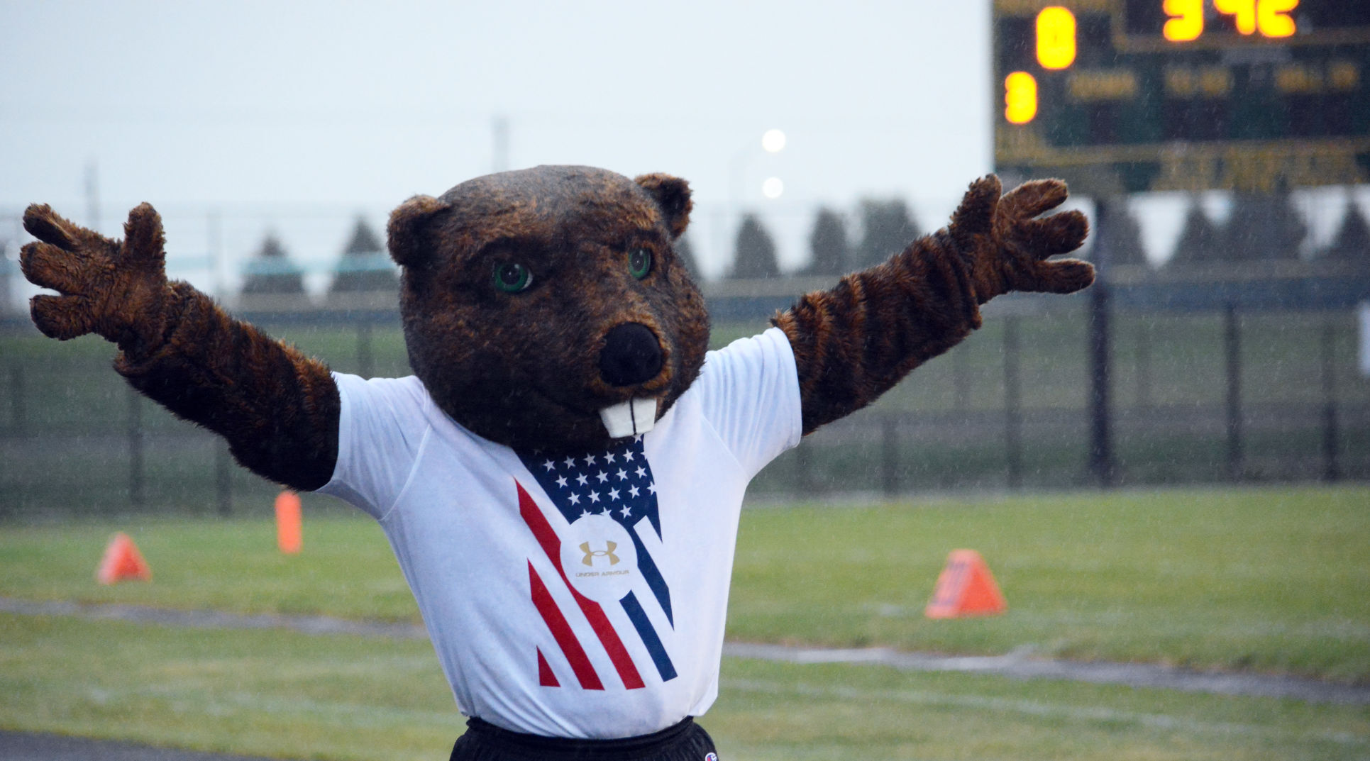 Benny the Beaver.jpg